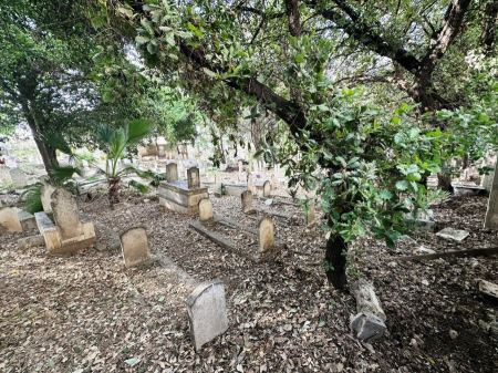 لائحة اتهام لمشتبه من جلجولية بحيازة سلاح وضبط أسلحة في شفاعمرو 